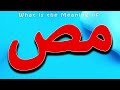What Is The Meaning Of معنی مص مص چیست مص 