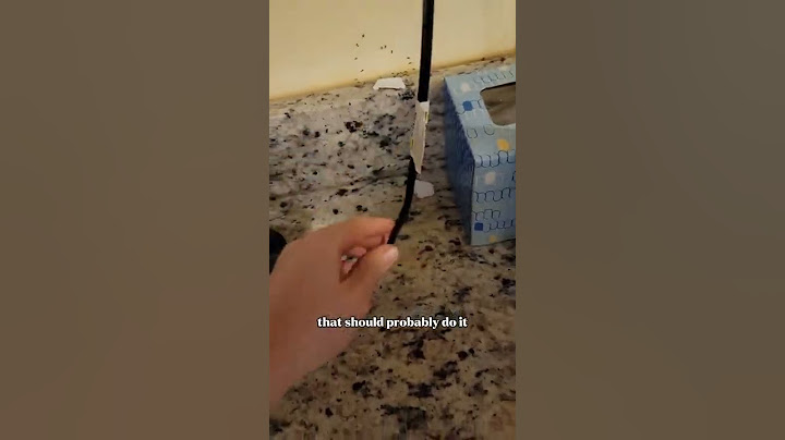 How to KILL ants and their colony #shorts #handyman