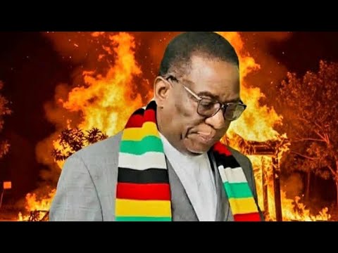 Judiciary Officers Political Technocrats Reportedly Moving To Legalize Mnangagwa S Term Extension