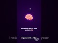 How does Instagram decide your feed? 🤯 #facts #systemdesign #anime #animation #ai #socialfeed #tech