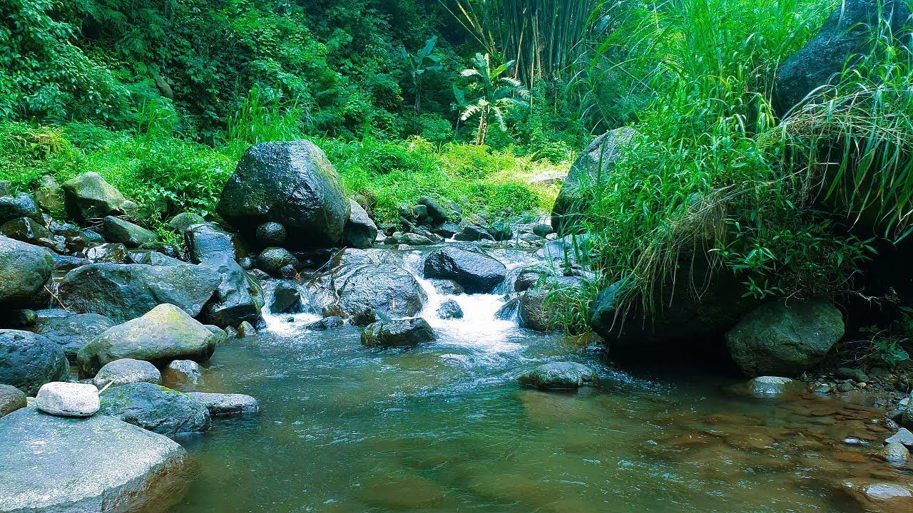 Ultra Realistic Forest Stream 🌿 4K Nature ASMR for Deep Focus