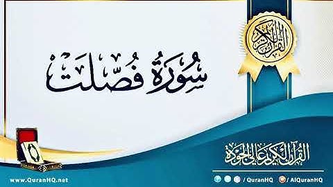 سورة فصلت - بصوت القارئ / إسلام صبحي - بدون اعلانات -  Islam Sobhi