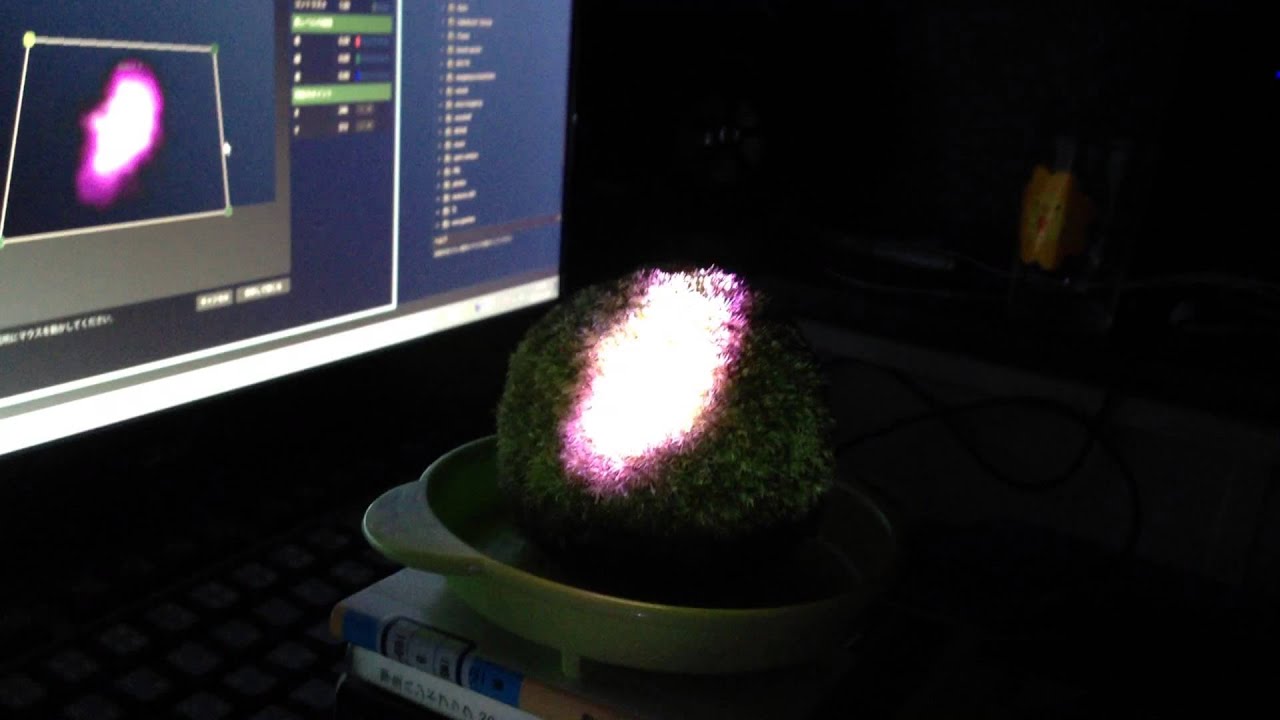 moss mapping test01 - YouTube