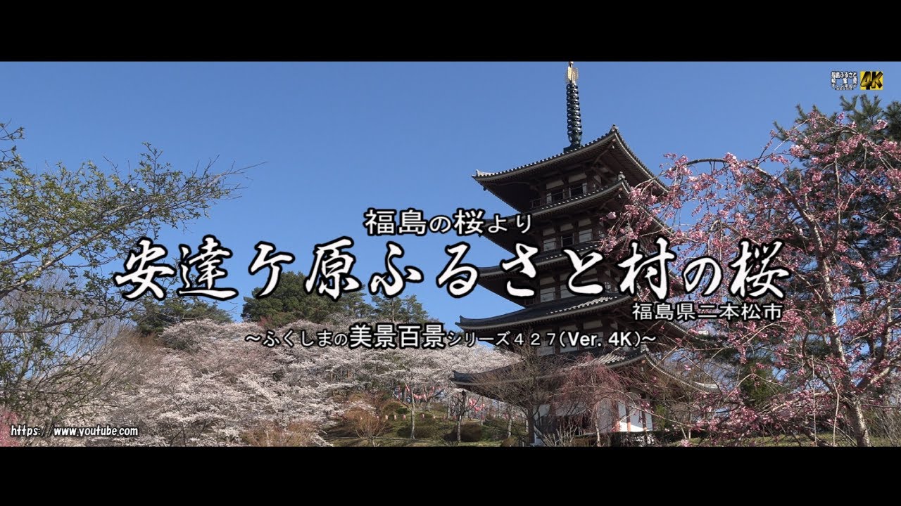 福島の桜より ｖｅｒ 4ｋ 二本松市 安達ケ原ふるさと村の桜 Youtube