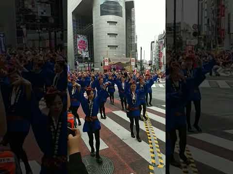 渋谷 鹿児島おはら祭で屋久島連の先頭で 観光大使の歌手 西田梨沙さんがおはら節を華麗に踊る 2024 5 20 渋谷109前