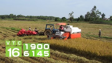 Hợp tác xã giúp nông dân thích ứng với biến đổi khí hậu | VTC16