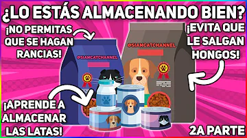 ¿Hay que refrigerar los restos de comida para gatos?