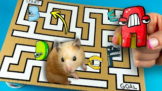 HAMSTER ALPHABET LORE MAZE 🐹 DIY Hamsters Show