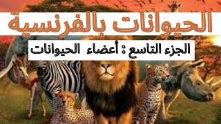 أعضاء جسم الحيوانات بالفرنسية les parties du corps de l'animal