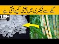 How sugar is made from sugarcane in urduhindi  door bini