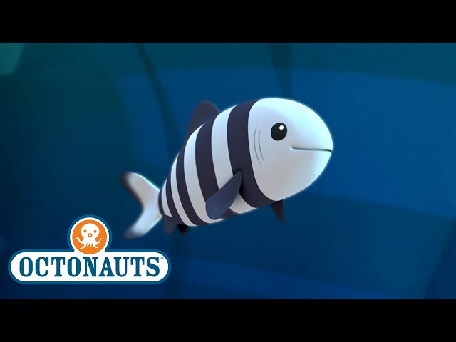 Octonauts - The Hungry Pilot Fish