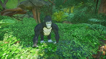 Gorilla | Thememakers Toolkit (Planet Coaster)