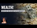 Wealth! How to see big money in your horoscope? - School of Astrology