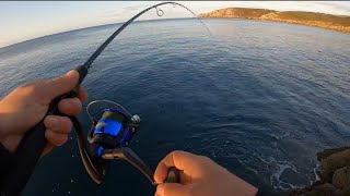 ROCK FISHING THE BEST PLACE TO FISH IN THE UK!! Cornwall Fishing part 2!