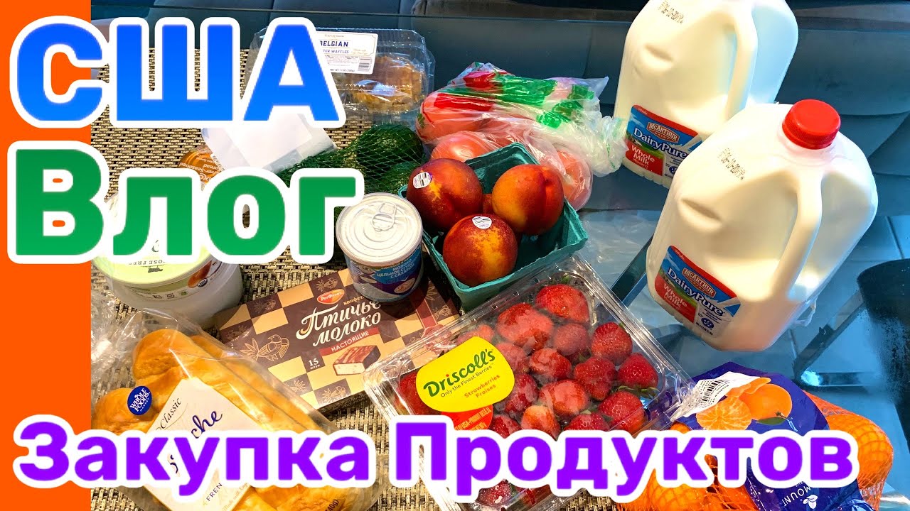 Каско магазин в америке Каско магазин в америке