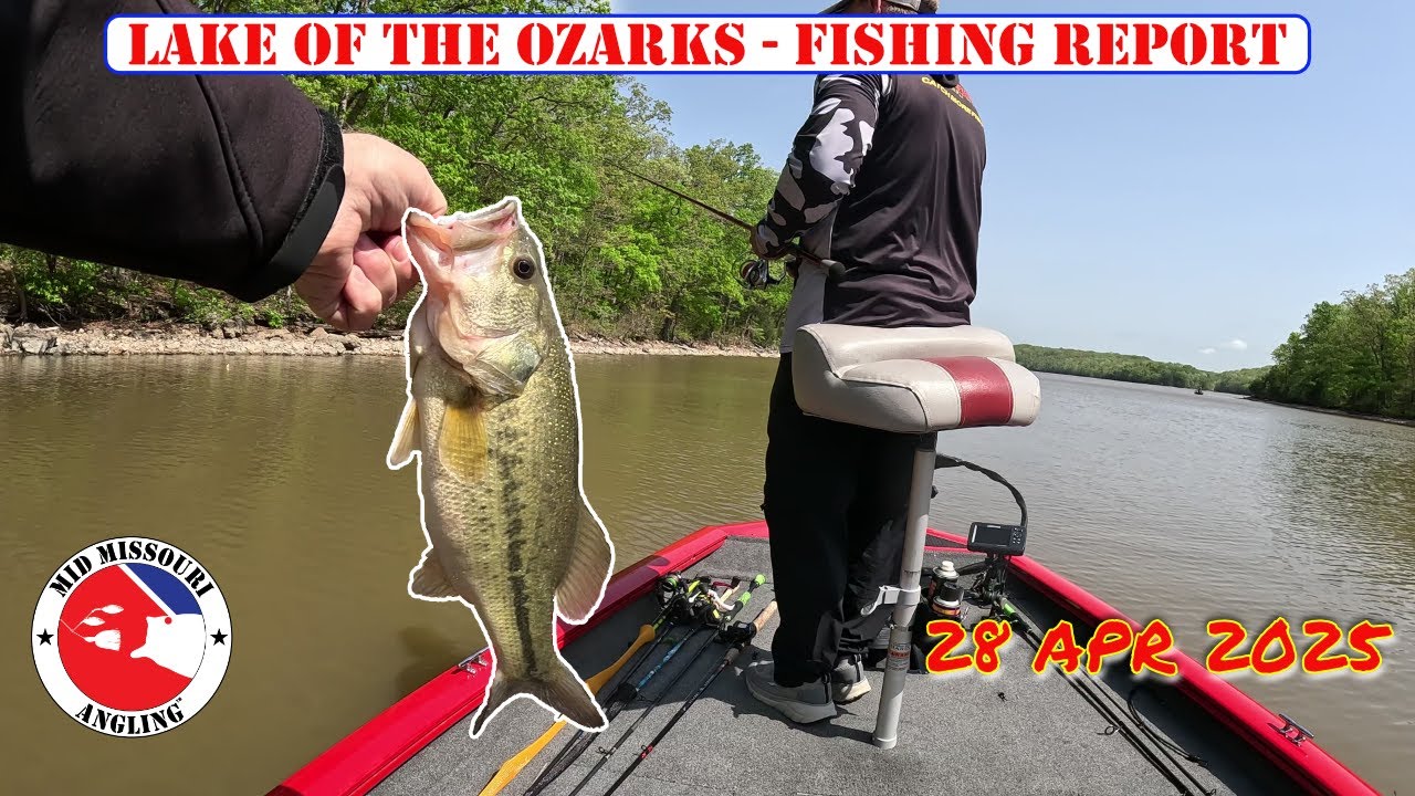 Lake of the Ozarks Bass Fishing – 28 Apr 2025 | Fishing report