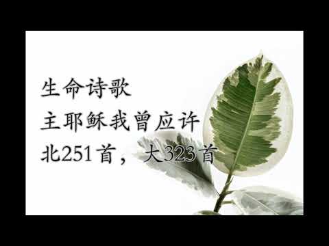 生命诗歌 北251 大323 主耶稣我曾应许
