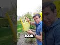 Hortensien ganz einfach blau färben mit Essig #gartentipps #gartenarbeit #hortensien #garten