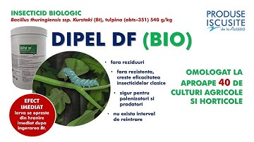 DIPEL DF