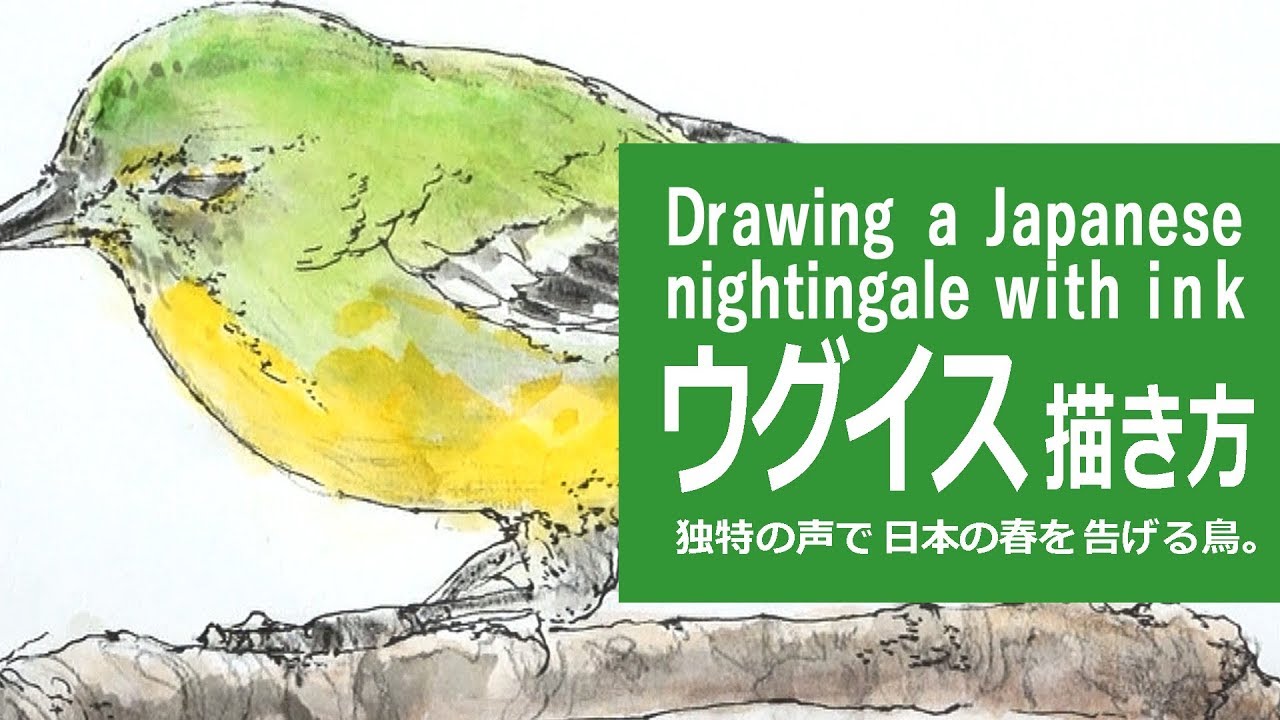 ペンと水彩絵の具とパステルのイラスト 描き方 制作過程 ウグイス How To Draw A Japanese Nightgale Youtube