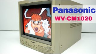 Panasonic  Wvcm1020g Crt Monitor