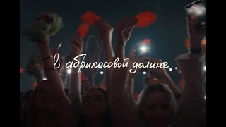 Mzlff - В абрикосовой долине (Live)