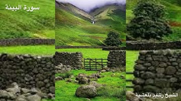 المصحف المرتل للشيخ رشيد بلعشية ((سورة البينة ))