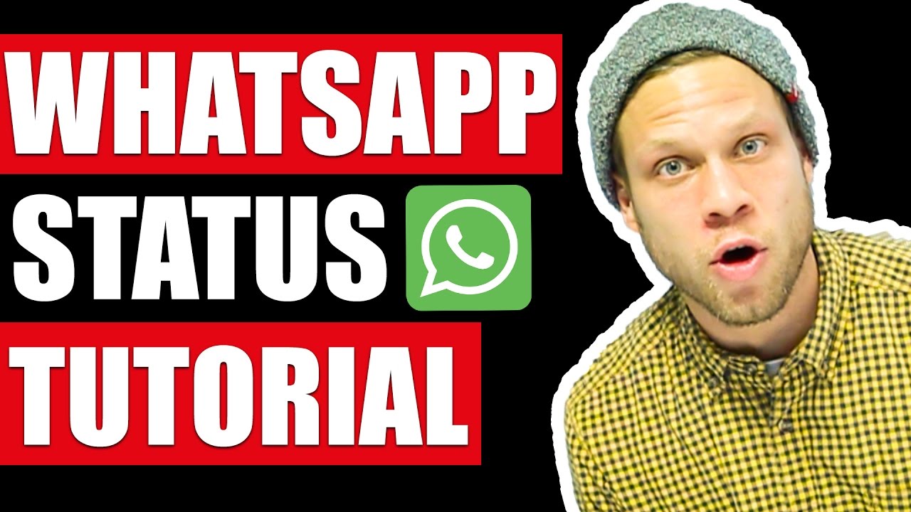 New 🚀 WhatsApp Status - Tutorial 🚀 | #FragDenDan
