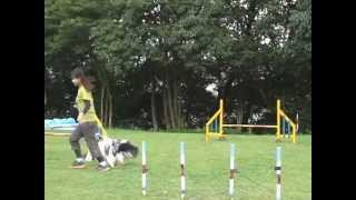 20120909 お教室 ジョリー1