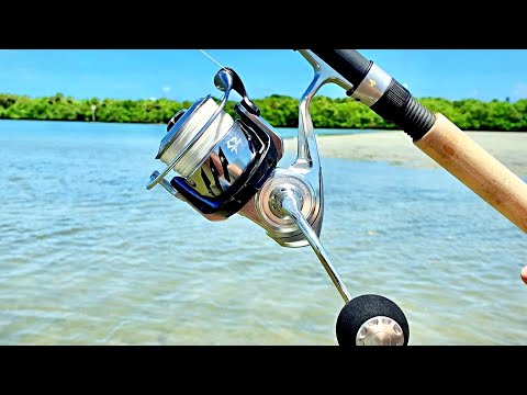 New Piscifun Alloy X Fully Sealed Saltwater Reel - Here's why you'll