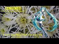 【Hatsune Miku】少しだけ片想い(荒井由実)1975;I Love You More Than You Love Me(Yumi Arai)1975【Vocaloid 5】初音ミク
