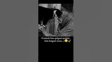 Yonizda Kim Qolgani Muhum Kim Ketgani Emas Love Motivation Shortsvideo 