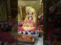 Live Darshan at Maa Mansa Devi, Panchkula 🙏
