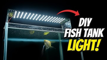 DIY Aquarium Light | How to Make an LED Light for Your Fish Tank