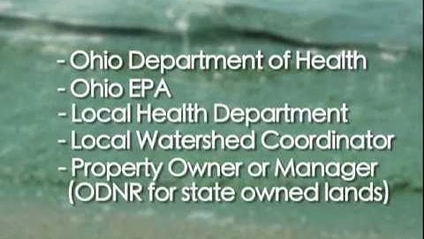 Ohio Algae Awareness