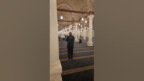 تلاوة القرآن || مسجد عمرو بن عاص || صلوة التراويح
