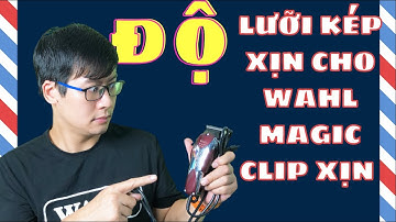 Hướng dẫn độ lưỡi kép Wahl cho Magicclip có dây | Trần Quang