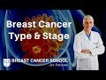 Breast Cancer Type and Stage: What You Need to Know