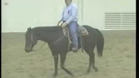 Training Tips: The Lope & Lead Changes, Part 2, eXtension