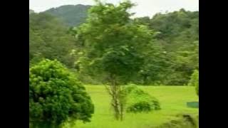Zalmon-Pitanah Babuah Sarak