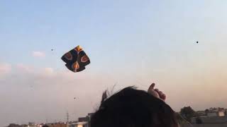 Basant Festival Patang Bazi in Pakistan ( Kite Fighting ) Kite Flying Pipa Combate screenshot 5