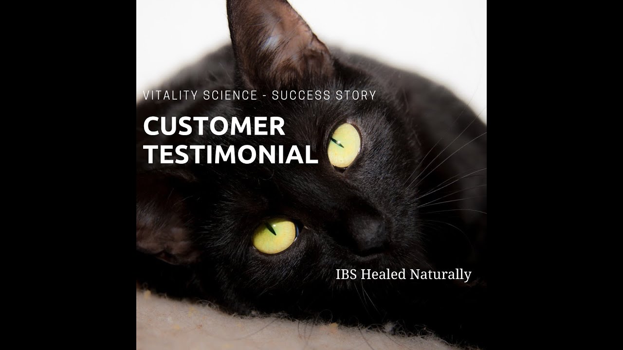 Testimonial Natural Cat Medicine Successfully Treats IBD and Low Grade