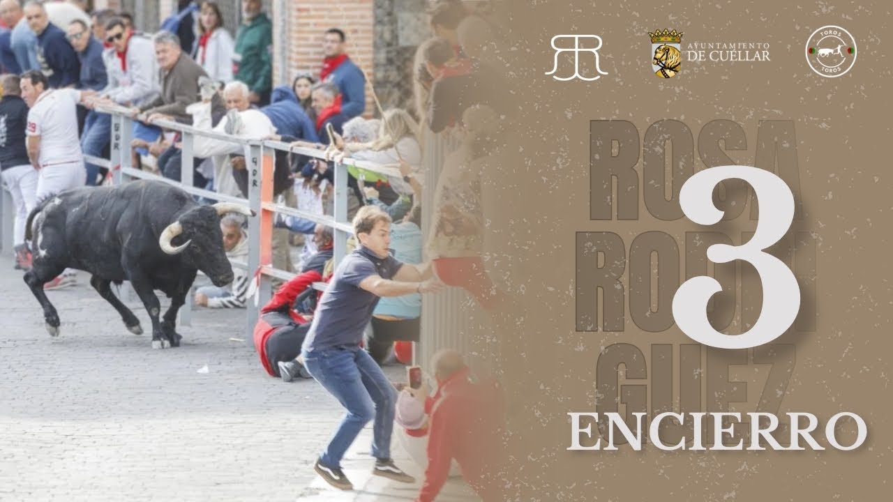 TERCER ENCIERRO de Cuéllar 2025 | Toros de Rosa Rodriguez