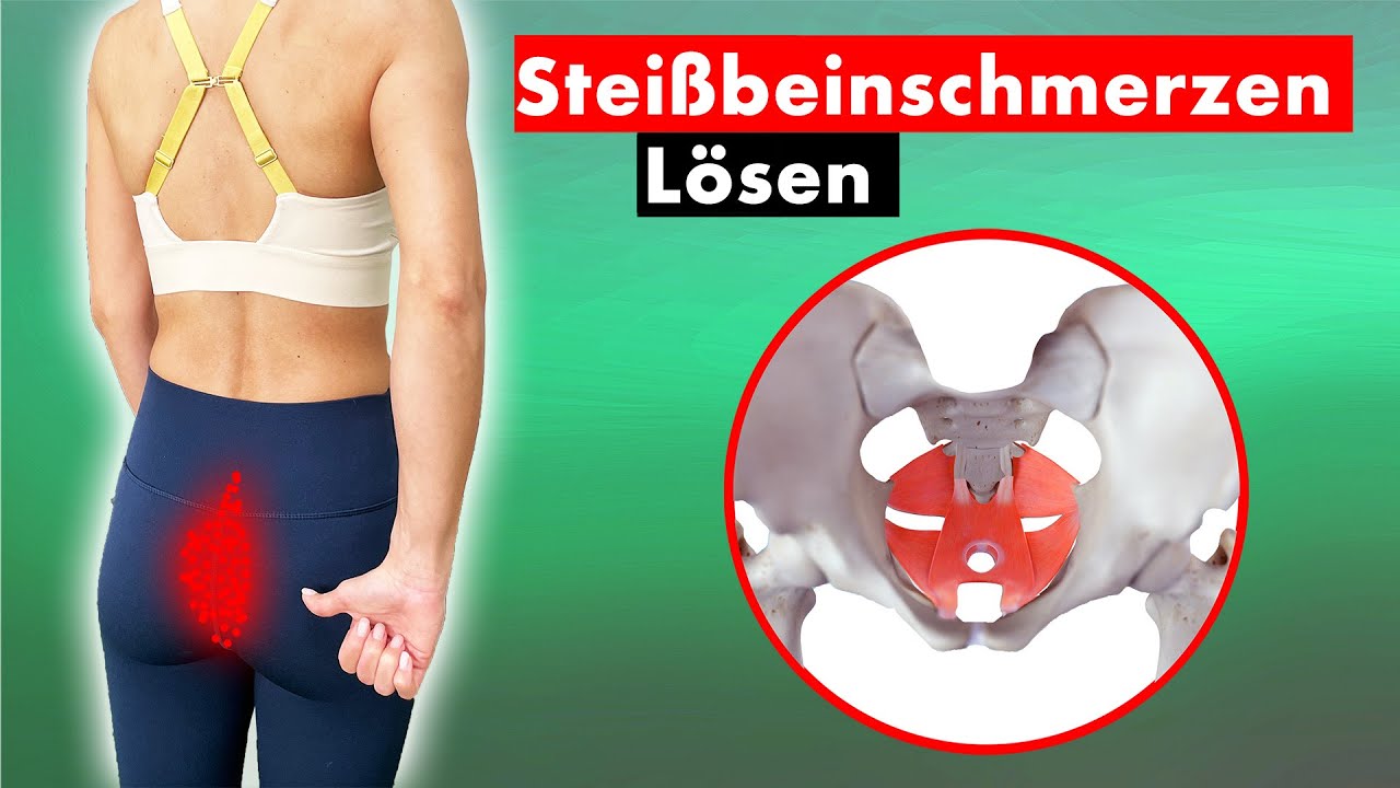 Können Steißbeinschmerzen vom Darm kommen? Können Steißbeinschmerzen vom Darm kommen?