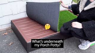 Ever wonder what was underneath the Porch Potty?