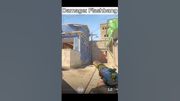How many more flashes? #shorts #cs2 #csgo #fyp #csfunny #counterstrike #gaming #funnymoments #faceit