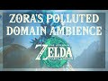 Polluted zoras domain ambience tears of the kingdom