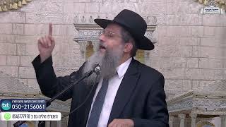 המלך בשדה, ומה אתה עושה עם זה?! כג' באלול