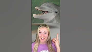 Thumbnail of CUTE ANIMALS THAT ARE ACTUALLY DANGEROUS!😳