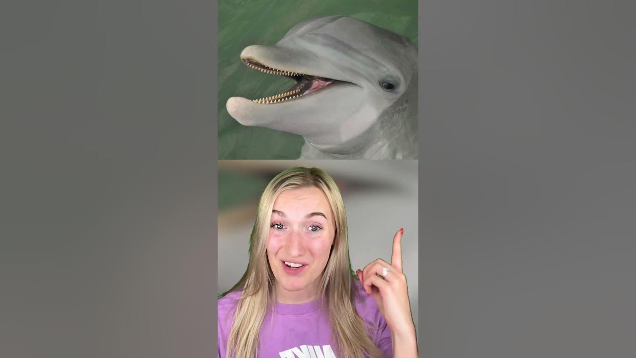 CUTE ANIMALS THAT ARE ACTUALLY DANGEROUS!😳